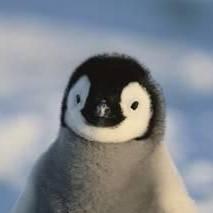 Github Rohjs Yay Prototype Yay Prototype - High Quality Colorful Background - Retina