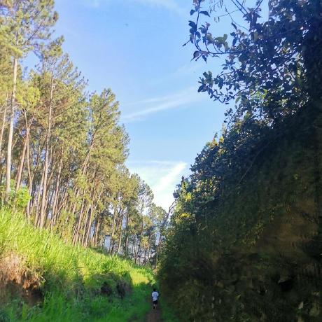 Rakewangsa Rake Keylana Wangsa Github - Stunning Nature Design - 4K