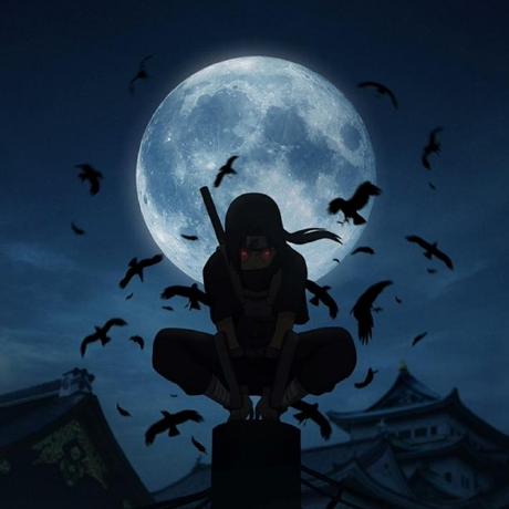 Tri Cao Tri Github - Sunset Design Collection - Full HD Quality