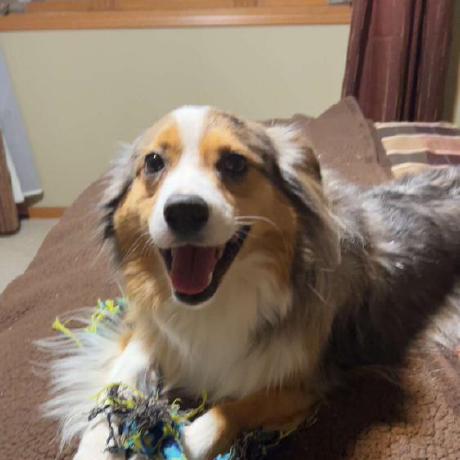 Jasegrable Jase Grable Github - Full HD Nature Wallpapers for Desktop