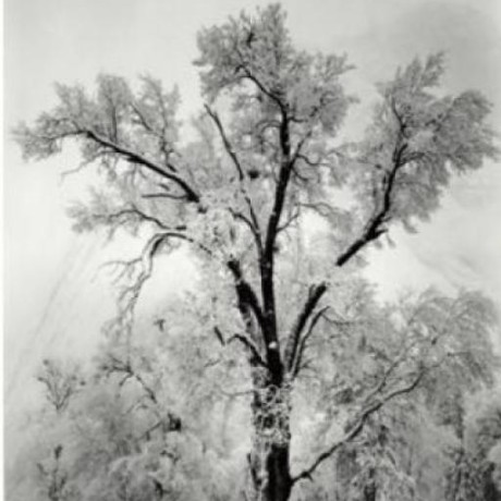 Github Dhruvilgala Tvtropes - Best Light Textures in 4K