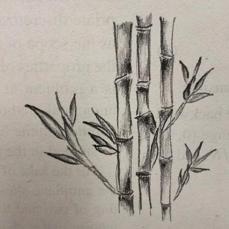 Github Janelchua Phase Field Twin Interface - Geometric Texture Collection - Mobile Quality