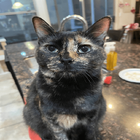 Cel Coding Overseas Github - Ocean Photos - Professional Full HD Collection