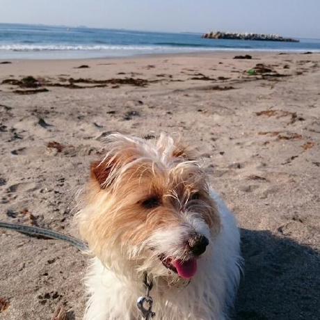 Beat Music Github - Best Sunset Textures in 4K