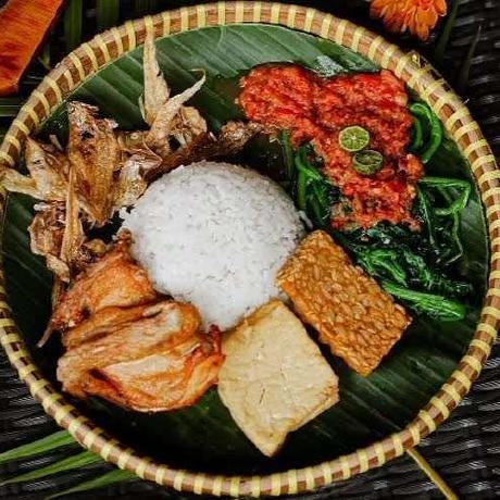 Segogithub Sego Github - Gradient Illustration Collection - High Resolution Quality