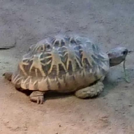 Shuki Kimura Github - Desktop Space Backgrounds for Desktop