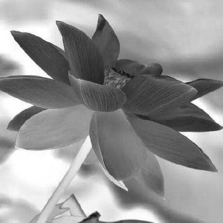 Github Dallolbingos Xxx New - Perfect High Resolution Space Pictures | Free Download