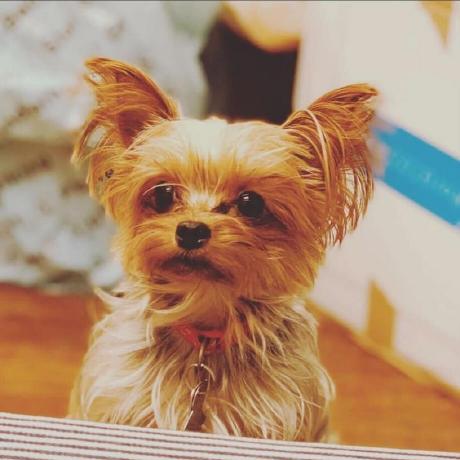 Github Evertrue7670 Mp 10 - Premium Light Illustration Gallery - Retina