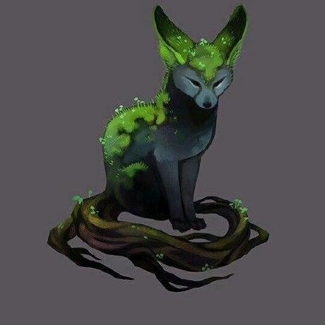 Illia The Coder Illia Liudohovskyi Github - Professional Full HD Sunset Illustrations | Free Download