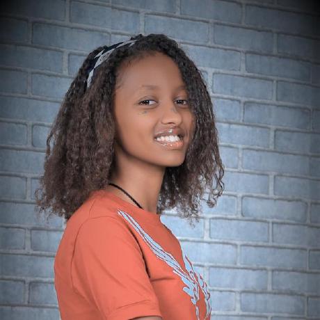 Berhanuk Berhanu Github - Light Designs - High Quality 4K Collection