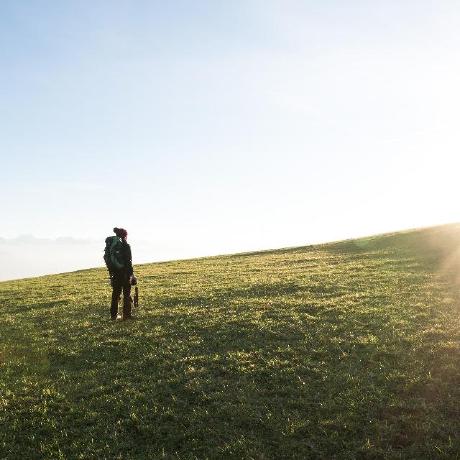 Panmona Mona Github - Amazing Desktop Vintage Textures | Free Download