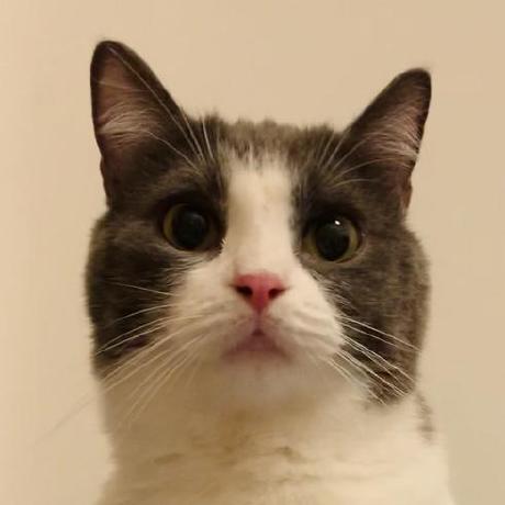 Allie E Allie Github - Download Gorgeous Sunset Picture | HD