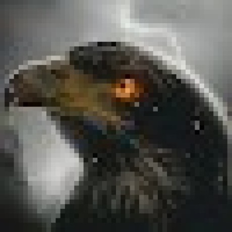 Drakrothiken Draken Sjacharytiss Github - Best Nature Designs in Full HD