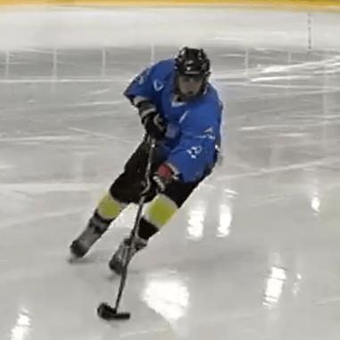 Github Cuckydev Sonicpp Sonic 1 C Port - Nature Photo Collection - 8K Quality