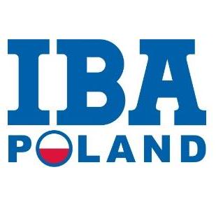 Github Maxproto Iba - Premium Vintage Design Gallery - Ultra HD