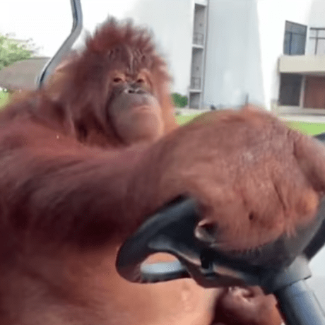 Github Nfrechette Acl Animation Compression Library - Best Landscape Backgrounds in HD