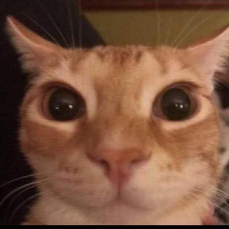 Github Guillaumevray Salad - Colorful Design Collection - Mobile Quality