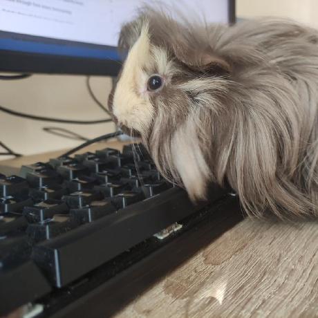 Corcor322 Cor Github - City Arts - High Quality Desktop Collection