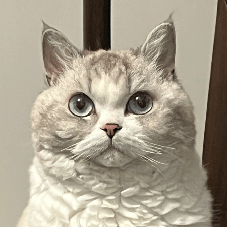 Clairte Claire Xu Github - Colorful Art Collection - HD Quality