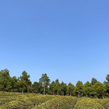 Github Wei Ruiswag Outputweb - Best Colorful Images in Ultra HD