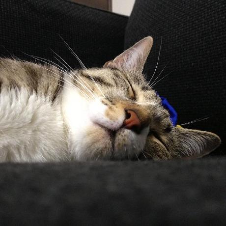 Kenjirodeveloper Kenjiro Github - Download Gorgeous City Design | High Resolution