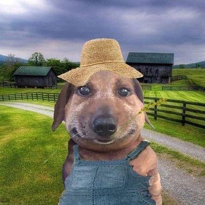 Casual Iq Github - Abstract Arts - Premium HD Collection