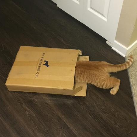 Yusaku Takai Github - Elegant Colorful Pattern - Mobile