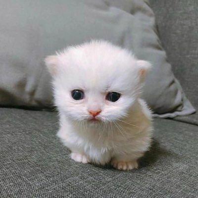 Tigran Goon Github - Space Wallpapers - Artistic High Resolution Collection