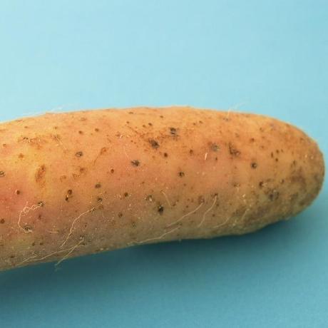 Rim Yam Github - Best Colorful Wallpapers in Desktop