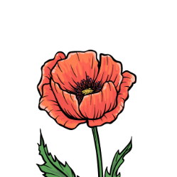 Lucie Mercier Github - High Quality Geometric Art - Full HD