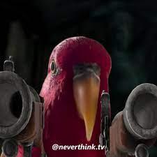 Waimea Zslatham Github - Gradient Wallpapers - Professional Desktop Collection