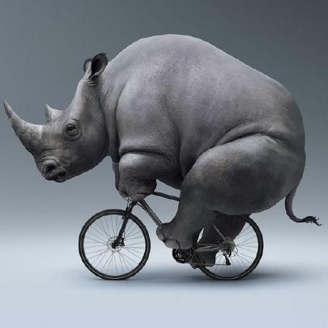 Github Schooldropout1337 Gorilla - Best Minimal Photos in High Resolution