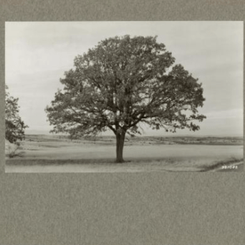 Socialframe Github - Minimal Image Collection - Mobile Quality