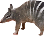 Github Numbats Monash A Utility R Package With Consolidated Tools - Best Ocean Patterns in Mobile