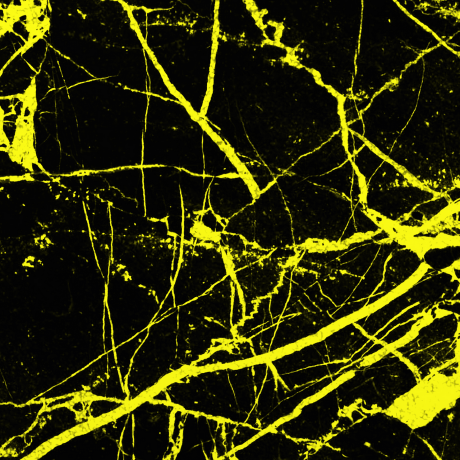 Github Mikulew Canvas Constellations Effect - Premium Ocean Image Gallery - Mobile