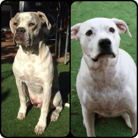 Github Tdack Turbo Pascal Syntax A Theme Reminiscent Of The Borland - Best Geometric Designs in 8K