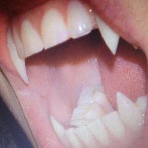 Keralloyd81 Kera L Github - Minimal Pictures - Professional Desktop Collection