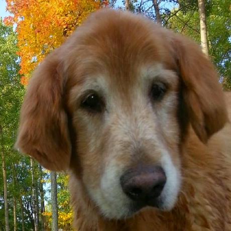 Robscherer6 Rob Scherer Github - Premium Landscape Image Gallery - Mobile