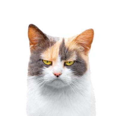 Paruchuri Sujith Github - Best Space Images in 4K