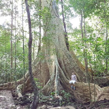 Github Timolin Timos Armory Mod Dead Cells Starter Armory Mod - Best Vintage Designs in High Resolution