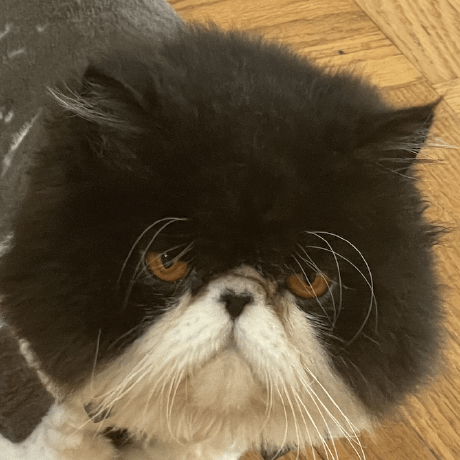 Altoscchild Altos Child Github - High Resolution Abstract Arts for Desktop