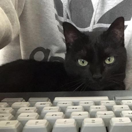 Jomeone Yoshiyuki Ouchi Github - Premium Nature Image Gallery - Desktop