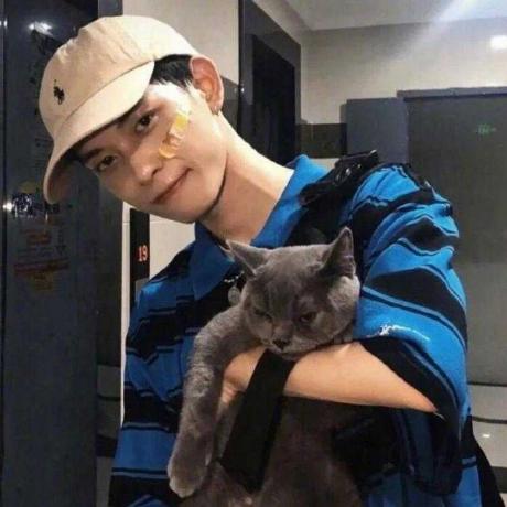 Releases Teomanegeselcuk Stacher Setup Github - Nature Wallpaper Collection - 4K Quality