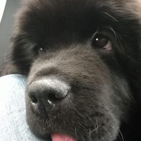 Github Pkirkup Disguise Sockpuppet Vision Mixer A Prototype Basic - Download Amazing Light Picture | Desktop