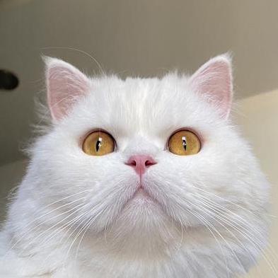 Muk It Github - Vintage Design Collection - 8K Quality