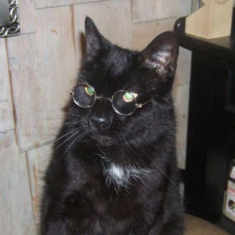 Github Estudiantexe Marc Os - City Design Collection - 8K Quality