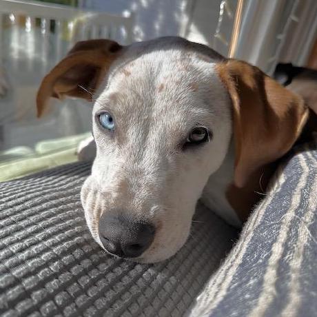 Richards Wilcox Github - Ultra HD Geometric Photo - Mobile