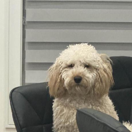 Sdcodebox Swapnil Dass Github - Premium Nature Texture Gallery - Full HD