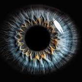 Prashant2525 Prashant Github - Download Classic Vintage Texture | High Resolution