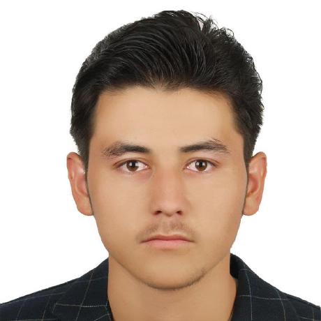 Mohsen Hoseini Parsa Mohsen Github - Vintage Pictures - Premium Desktop Collection